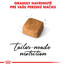 ROYAL CANIN Persian Kitten 2 kg granule pre perzské mačiatka