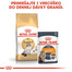 ROYAL CANIN Ragdoll Adult 10kg granule pre ragdoll mačky