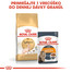 ROYAL CANIN Sphynx Adult 400g granule pre sphynx mačky