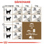 ROYAL CANIN Ageing 12+ granule pre staré mačky 4kg