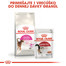 ROYAL CANIN EAromatic Exigent 400g granule pre maškrtné mačky