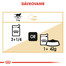 ROYAL CANIN British Shorthair Gravy 12x85g