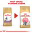 ROYAL CANIN British Shorthair Kitten 10kg granule pre britské krátkosrsté mačiatka