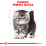 ROYAL CANIN Persian Kitten 2 kg granule pre perzské mačiatka
