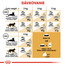 ROYAL CANIN Sphynx Adult 400g granule pre sphynx mačky