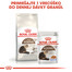 ROYAL CANIN Ageing 12+ granule pre staré mačky 4kg