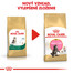 ROYAL CANIN Maine Coon Kitten 10kg granule pre mainské mývalie mačiatka
