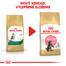ROYAL CANIN Maine Coon Kitten 4kg granule pre mainské mývalie mačiatka