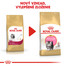 ROYAL CANIN Persian Kitten 400g granule pre perzské mačiatka