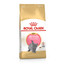 ROYAL CANIN British Shorthair Kitten 10kg granule pre britské krátkosrsté mačiatka