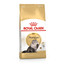 ROYAL CANIN Persian Adult 10kg granule pre dospelé perzské mačky