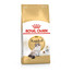ROYAL CANIN Ragdoll Adult 10kg granule pre ragdoll mačky