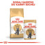 ROYAL CANIN British Shorthair 85 v kapsičke 6x85 g