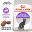 ROYAL CANIN Sterilised 10kg granule pre dospelé kastrované mačky
