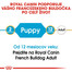 ROYAL CANIN French Bulldog Puppy 10kg granule pre šteňa francúzskeho buldočka