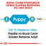 ROYAL CANIN Golden Retriever Puppy 3 kg granule pre šteňa zlatého retrievera