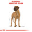 ROYAL CANIN Great Dane Adult 12 kg granule pre nemeckú dogu
