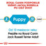 ROYAL CANIN Jack Russell Puppy 3 kg granule pre šteňa jack russell teriéra