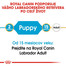 ROYAL CANIN Labrador Puppy 12 kg granule pre šteňa labradora