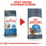 ROYAL CANIN Light Weight Care diétne 10kg granule pre mačky
