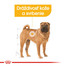 ROYAL CANIN Medium Dermacomfort 3 kg granule pre stredné psy s problémami s kožou a srsťou