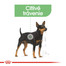 ROYAL CANIN Mini Digestive Care 4kg pre malé psy s citlivým trávením