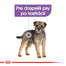 ROYAL CANIN Mini Sterilised 8kg granule pre kastrované malé psy