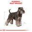 ROYAL CANIN Schnauzer Adult 500g granule pre dospelého bradáča