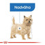 ROYAL CANIN Mini Light Weight Care 8kg granule pre dospelých psov malých plemien so sklonom k nadváhe