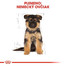 ROYAL CANIN German Shepherd Puppy 12 kg granule pre šteňa nemeckého ovčiaka do 15 mesiacov