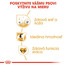 ROYAL CANIN Cocker Adult 12kg granule pre dospelého kokeršpaniela