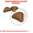 ROYAL CANIN Hairball Care 400g granule pre mačky pre správne vylučovanie