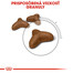 ROYAL CANIN Light Weight Care diétne 10kg granule pre mačky