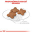 ROYAL CANIN Mini Adult 800g granule pre dospelé malé psy