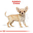 ROYAL CANIN Chihuahua Puppy 500g granule pre šteňa čivavy