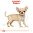ROYAL CANIN Chihuahua puppy 1.5 kg