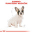ROYAL CANIN French Bulldog Puppy 10kg granule pre šteňa francúzskeho buldočka