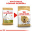 ROYAL CANIN Great Dane Adult 12 kg granule pre nemeckú dogu
