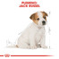 ROYAL CANIN Jack Russell Puppy 0.5 kg granule pre šteňa jack russell teriéra