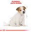 ROYAL CANIN Jack Russell Puppy 1.5 kg granule pre šteňa jack russell teriéra