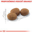 ROYAL CANIN Sterilised 2kg granule pre dospelé kastrované mačky