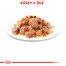 ROYAL CANIN Ultra Light Jelly 85g kapsička pre mačky s nadváhou v želé