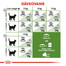 ROYAL CANIN Outdoor 10kg granule pre mačky s častým pohybom vonku