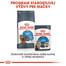 ROYAL CANIN Ultra Light Jelly 12x85g