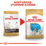 ROYAL CANIN Jack Russell Puppy 0.5 kg granule pre šteňa jack russell teriéra