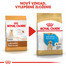 ROYAL CANIN Labrador Puppy 12 kg granule pre šteňa labradora