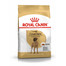ROYAL CANIN Great Dane Adult 12 kg granule pre nemeckú dogu