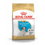 ROYAL CANIN Jack Russell Puppy 0.5 kg granule pre šteňa jack russell teriéra