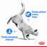 ROYAL CANIN Light Weight Care 400g diétne granule pre mačky