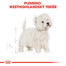ROYAL CANIN Westie Adult 1,5 kg granule pre dospelého westhinghlandského bieleho teriéra